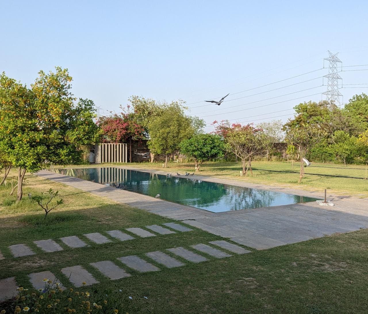 RajNikas Farm: Pet friendly, Glass House, w/pool 2